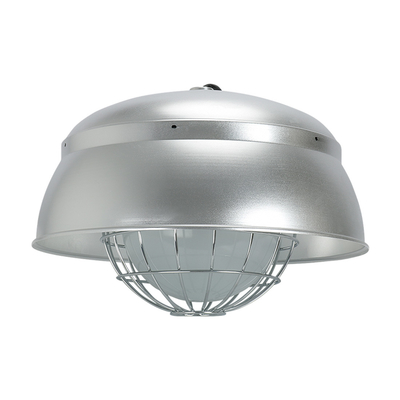 Đèn thực phẩm LED IP66 để sản xuất bột và hạt mịn