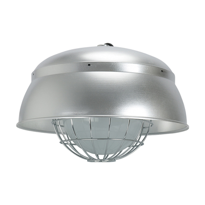 ATEX Chống cháy nổ Đèn LED thực phẩm Chống va đập Cao Vỏ nhôm