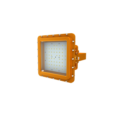 Đèn Led chống cháy nổ Ánh sáng công nghiệp IP66 Chống thấm nước Ik10 Vỏ bằng thép không gỉ Giá đỡ bằng thép không gỉ D SERIES